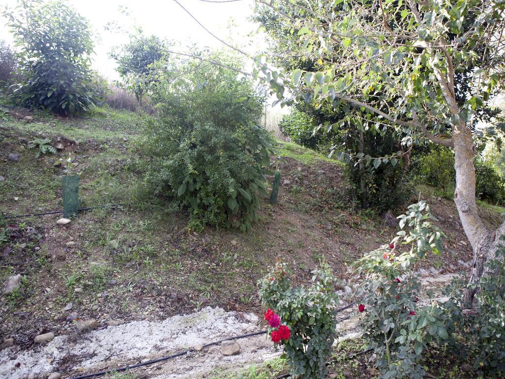 Casa Rural Vega El Dorado San Pablo 外观 照片